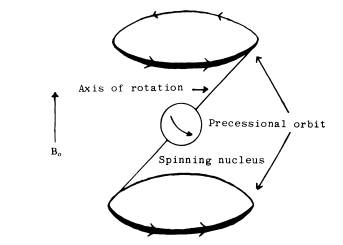 File:Spin2.png