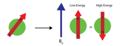 File:Spin1.png