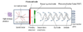 Thumbnail for version as of 13:04, 23 March 2021