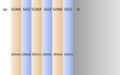 Thumbnail for version as of 16:08, 29 April 2021